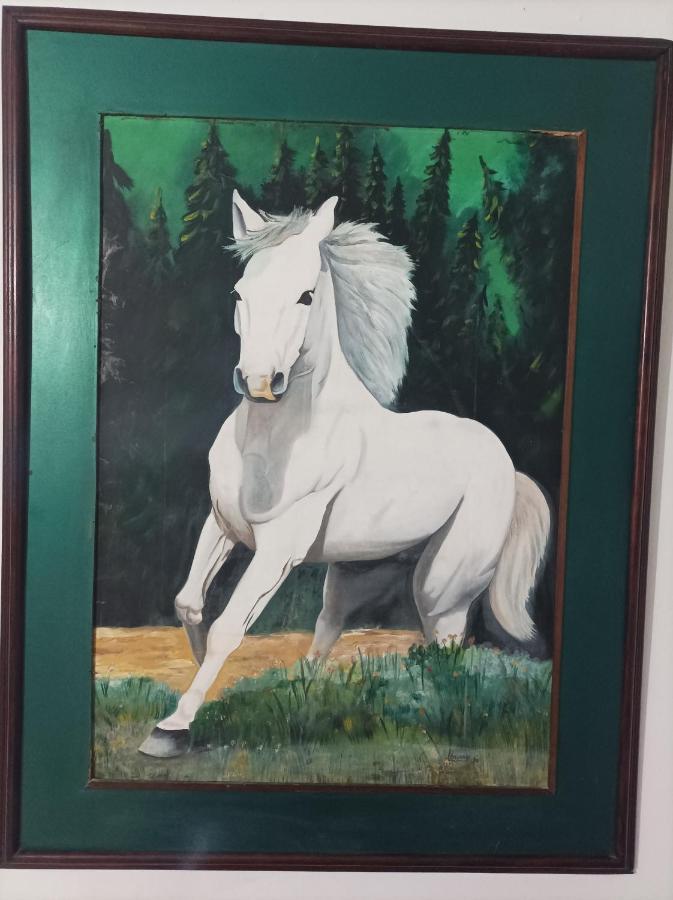 Hostel Caballo Blanco Cartagena Kültér fotó